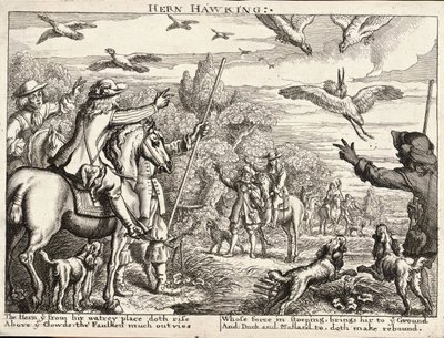 Heron Hawking by Wenceslaus Hollar
